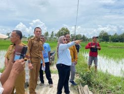 Usai Gelar Keiatan IPWK, Ketua Komisi III DPRD Lamsel Yuti Rama Yanti Tindaklanjuti Keluhan Warga Dusun Karang Jaya dan Dusun Kaliliak 4