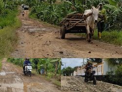 Petani dan Pelajar Desa Talang Baru Kecamatan Sidomulyo Harapkan Perbaikan Jalan Talang Baru Barat Yang Merupakan Jalan Kabupaten