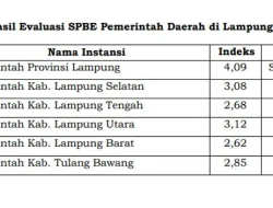 Dinilai Kemenpan RB, Indeks SPBE Kabupaten Lampung Selatan Raih Predikat Baik