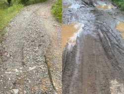 Jadi Salah Satu PR Dalam Program 100 Hari Kerja Egi-Syaiful, Jalan Rusak di Desa Siring Jaha Puluhan Tahun Tidak Dibangun