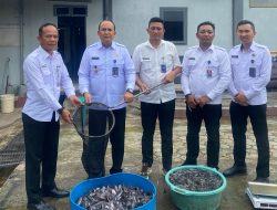 Dukung Program Menteri Imigrasi dan Pemasyarakatan, Lapas Narkotika Bandar Lampung Sukses Panen Lele 150kg