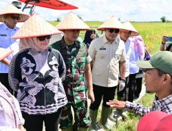 Pemkab Lampung Selatan Ikuti Panen Raya Serentak di 14 Provinsi Bersama Presiden Prabowo