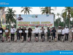 Aksi Nyata! Bupati Egi dan Kajati Tanam Jagung Bareng, Demi Ketahanan Pangan & Kesejahteraan Petani