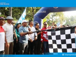 Semangat Kebersamaan! Wabup Syaiful Anwar Jalan Sehat HUT ke-80 RI Bersama Ribuan Warga Way Urang