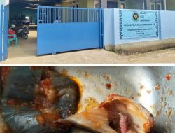 Kritikan Pedas Untuk SPPG: Ada Ulat Dalam Sayur MBG