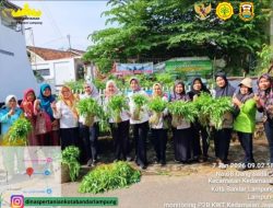 Monitoring dan Panen Sayuran di KWT Kedamaian Jaya oleh Dinas Pertanian bersama Ibu Camat dan Lurah Kedamaian