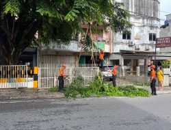 BPBD Kota Bandar Lampung Evakuasi Batang Pohon Patah