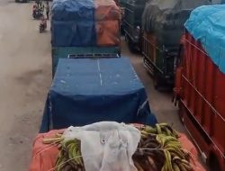 Pembatasan Jenis Kendaraan Resmi Dicabut, Kini Truck Pengangkut Logistik Mulai Beroperasi di Pelabuhan Penyeberangan Bakauheni