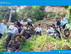 Longsor Gunung Rajabasa: Bupati Egi Naik 3 Km, Tanam Pohon Cegah Bencana Susulan